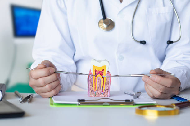 Best Emergency Root Canal Treatment in Eddington, PA